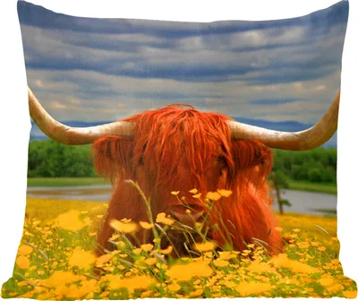 Produktbild von MuchoWow® Zierkissen Sofakissen Wohnzimmer Dekokissen 60x60 cm Schottisches Hochlandrind - Tiere - Blumen - Sitzfläche - Foto Polster