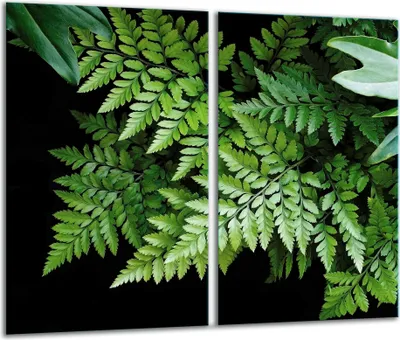 Produktbild von Herdabdeckplatten 2 teilig 30x52 Glaskeramikkochfeld Abdeckung Glas Laub