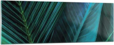 Produktbild von Bilder auf glas - Einteilig - Blatt Tropen Grün - 90x30cm - Glasbilder - Wandbilder - Bilder - zum Aufhängen bereit - Wanddekoration aus Glas - Glas Bilder - Wandbild auf Glas - GAB90x30-5071