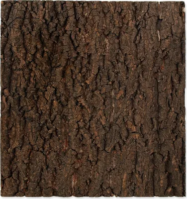 Zdjęcie produktu dla Repti Planet 007-54032, Drewno, 1 szt., 435 mm, 20 mm, 410 mm