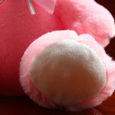 Plyšová hračka medveď 22cm roztomilá biela plyšová bábika pre deti dospelých