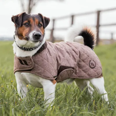 Image de Back on Track Haze Collection Hundemantel - braun