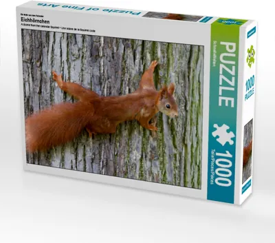 Produktbild von Calvendo Ein Motiv aus dem Kalender Eichhörnchen 1000 Teile Puzzle quer 640x480mm, CALVENDO; 7272254