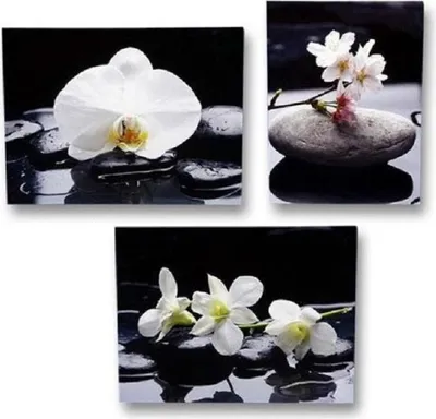 Produktbild von 3 Leinwandbilder Orchidee Feng Shui Steingarten je 30 cm x 40 cm