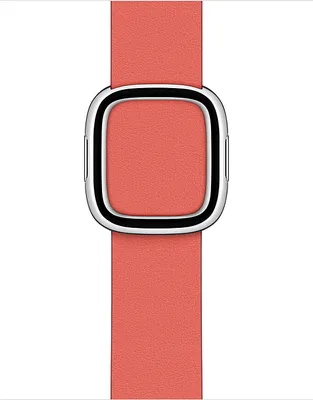 Produktbild von Apple Modern Buckle Apple Watch large 38mm / 40mm / 41mm Pink Citrus