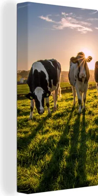 Obrázek produktu pro OneMillionCanvasses® - Obraz na plátně - Kráva - Tráva - Slunce, nástěnná malba, nástěnné dekorace obrazy obývací pokoj, 40x80cm