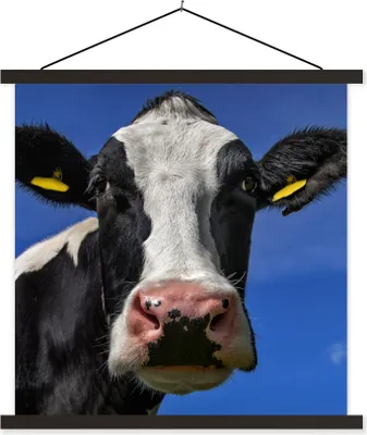 Produktbild von MuchoWow® Textilposter Kuh - Blau - Tiere 60x60 cm mit schwarzem Rahmen - Posteraufhänger