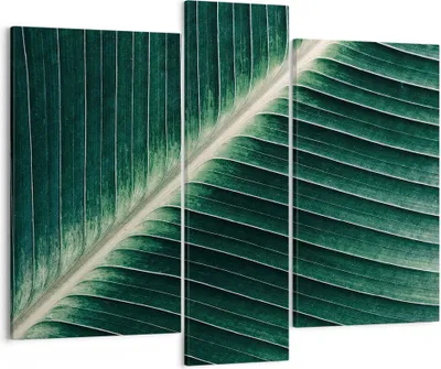 Produktbild von Bild auf Leinwand - Leinwandbild - 3 Teile - Grün Blatt Tropisch - 95x80cm - Wand Bild - Wanddeko - Wandbilder - Leinwanddruck - Bilder - Wanddekoration - Leinwand bilder - Wandbild - CB95x80-4126