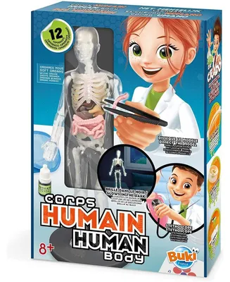 Produktbild von Buki Human Body, Experimentier-Set, Anatomie, 8 Jahr(e), Mehrfarbig