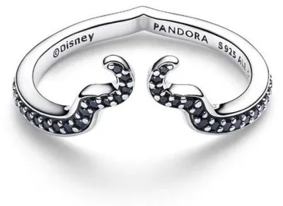 Produktbild von Pandora-Ring, 925Er Silber 194333C01-50