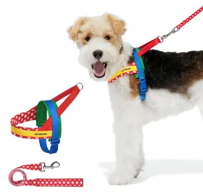Immagine prodotto di Set di pettorina e guinzaglio per cani di piccola e media taglia