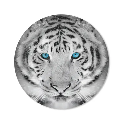 Produktbild von MuchoWow® Mauspad Mousepad Tiere - Tiger - Augen - Blau - Schwarz und weiß 20x20 cm - Mousepads - Maus Mat - Pad - Mausunterlage - Schreibtischmatte