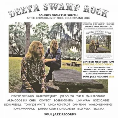 Obrázok produktu pre Various Artists - Delta Swamp Rock (Reissue) (Gold Coloured) (2 LP)