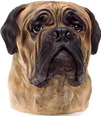 Immagine prodotto di Figura decorativa Statua Scultura 35 cm Figure Statue Sculture Cane Toro Busto A182
