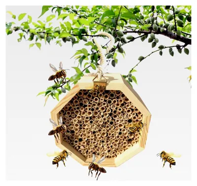 Produktbild von Bienenhäuser zur Bestäubung – Fördern Sie nützliche Insekten in Gemüsebeeten, kompaktes Hängedesign, atmungsaktive Holzfaser + Lebensraum für verschiedene Arten, wandmontierbar