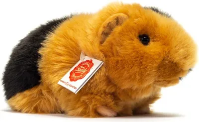 A plush toy guinea pig on a white background.