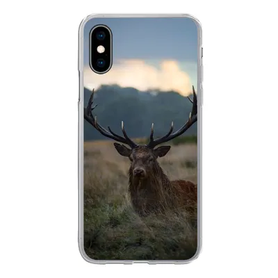 Produktbild von MuchoWow® Handyhülle Schutzhülle Hülle für iPhone X Hirsch - Wiese - Geweih Silikon Softcase Handy Hülle - Handyhülle