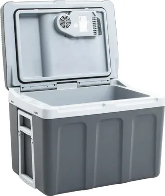 Produktbild von vidaXL Thermoelektrische Kühlbox Mobil 40 L 12V 230V E