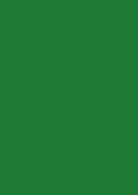 A solid green background.