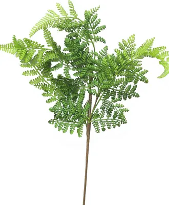 Produktbild von artplants.de Dekozweig Frauenfarn XINTIAN, grün, 55 cm - Kunstfarn