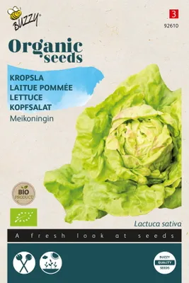 Produktbild von Buzzy Organic Kopfsalat Maikönig -  Samen - Ca. 1 gr | Buzzy_92610