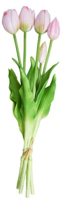 Obrázok produktu pre Heinen Delfts Blauw – Tulipán ružový 'Royal Pride' – Kvetinový kytic s 5 kusmi – Umelá kvetina – 40 cm