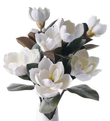 Immagine prodotto di Fiori di magnolia artificiali per la decorazione