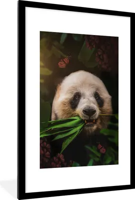 Produktbild von MuchoWow® MuchoWow® Gerahmtes Poster Panda - Schmetterling - Dschungel 60x90 cm - Poster mit zchwarzem Bilderrahmen - Dekoration - Wandposter Wohnzimmer - Hochwertig