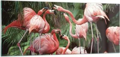 Produktbild von Bilder auf glas - Einteilig - Palmen Herde Flamingos - 100x40cm - Glasbilder - Wandbilder - Bilder - zum Aufhängen bereit - Wanddekoration aus Glas - Glas Bilder - Wandbild auf Glas - GAB100x40-4804