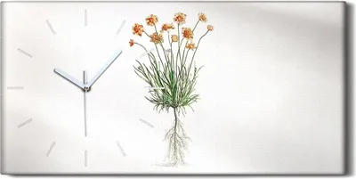 Produktbild von Küche Wohnzimmer Wand Leinwand Uhr 60x30 Gemälde Blumen Pflanzen Kunst - weiße Hände