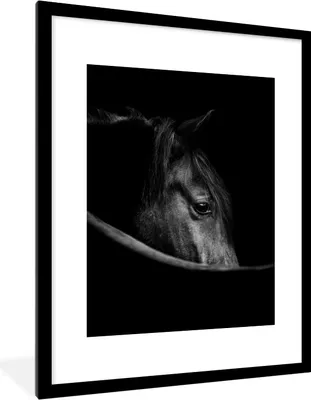 Produktbild von MuchoWow® Gerahmtes Poster Pferde - Porträt - Schwarz - Tiere 60x80 cm - Poster mit Schwarzem Bilderrahmen Wandposter Rahmen Foto Bilder - Wohnzimmer - Dekorationen - Prämie