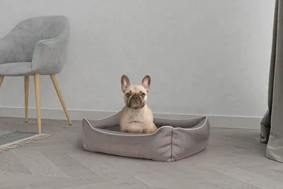 Immagine prodotto di Omgoods - Cuccia elegante per cani e gatti - Marrone - 62 x 50 x 17 cm