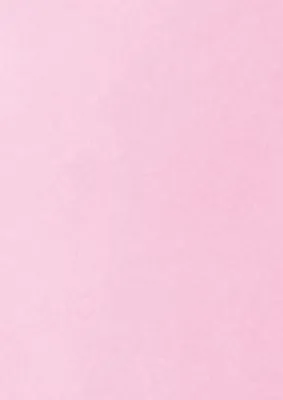 Produktbild von 25 Blatt Briefpapier / DIN A4 / Kopierpapier / Druckerpapier / Farbe: pink