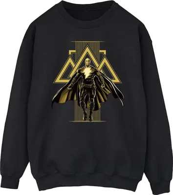 Produktbild von DC Comics - Sweatshirt für Herren BI11173 (XXL) (Schwarz)