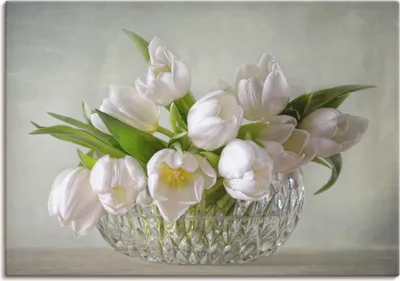 Produktbild von ARTland Leinwandbild Weiße Tulpen Größe: 60x40 cm