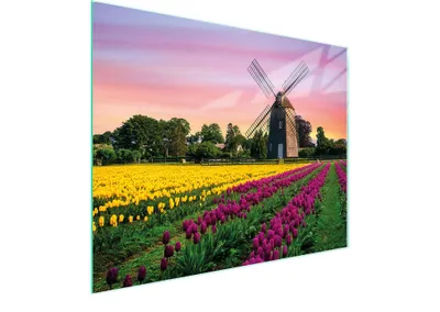 Produktbild von Robustes und pflegeleichtes Glas-Schneidebrett mit Wiesen-Motiv, 52 x 40 cm