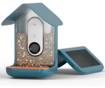 Immagine prodotto di Bird Buddy Smart - Bird Feeder Pro - Mangiatoia per uccelli - Blu con pannello solare