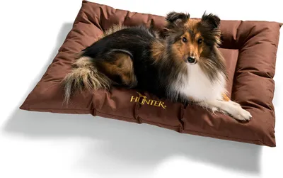 Immagine prodotto di Cuccia per cani Gent antibatterica 70x100 cm marrone, idrorepellente e antisporco