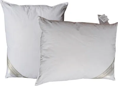 Produktbild von 2 Stück Hofmann Kleinkissen 40x50 cm Kuschelkissen Dekokissen Nackenkissen 300g