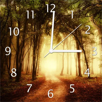 Produktbild von Wallario Design Wanduhr Sonnenuntergang auf dem Waldweg aus Echtglas, Größe 30 x 30 cm