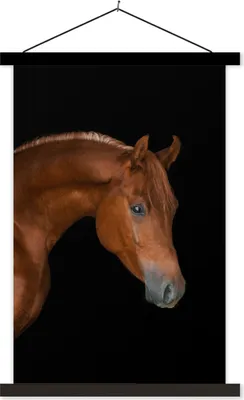 Produktbild von MuchoWow® Textilposter Pferd - Schwarz - Tier 120x180 cm mit schwarzem Rahmen - Fotos