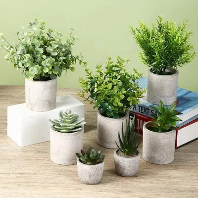 Obrázek produktu pro Unyqoos® Sada – 7 dekorativních umělých rostlin (30 cm), PVC, zelená – Dekorace do obývacího pokoje, ložnice a kanceláře