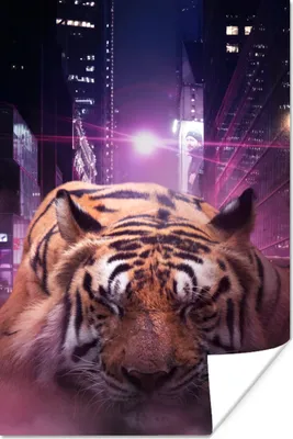 Produktbild von MuchoWow® Poster Tiger - Stadt - Lila 40x60 cm - Plakate für die Wand - Poster Babyzimmer