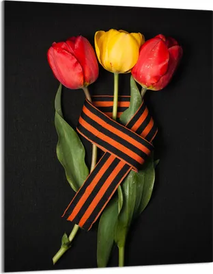Produktbild von Herdabdeckplatte 40x52 Glaskeramikkochfeld Abdeckung Spritzschutz Glasplatte Deko Schneidebrett, Tulpen Schwarz