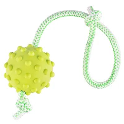 Produktbild von FANCY Hundespielzeug Ball mit Seil, Hundeball Apportierspielzeug 7 cm- Ideal für Kleine und Mittelgroße Hunderassen.