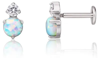 Productafbeelding van Hypoallergene Titanium Tragus Piercing Set van 2 Stuks