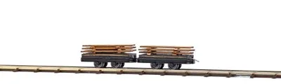 Image de Busch H0 12218 Deux wagons avec chargement de planches - NEUF