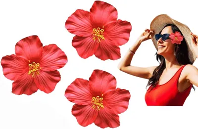 Productafbeelding van 3 rode Hawaiiaanse bloemenhaarclips van 8 cm voor vrouwen en meisjes