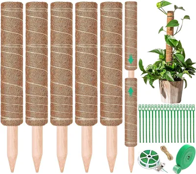 Produktbild von 5-teiliges Monstera Stake Set - Verstellbare Kokosfaser Pflanzenstützen für Zuhause und Garten