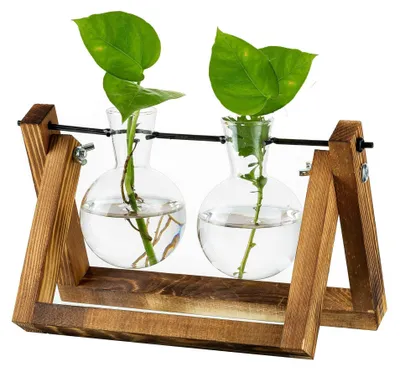 Image de Omgoods - Station de propagation de plantes avec support en bois et vases en verre